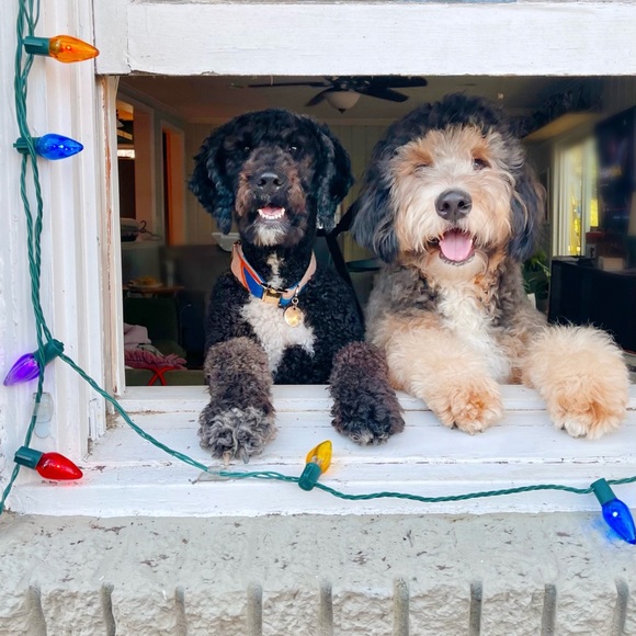 Welcome to my Posh Shop! ❤️ - Picture 10 of 11